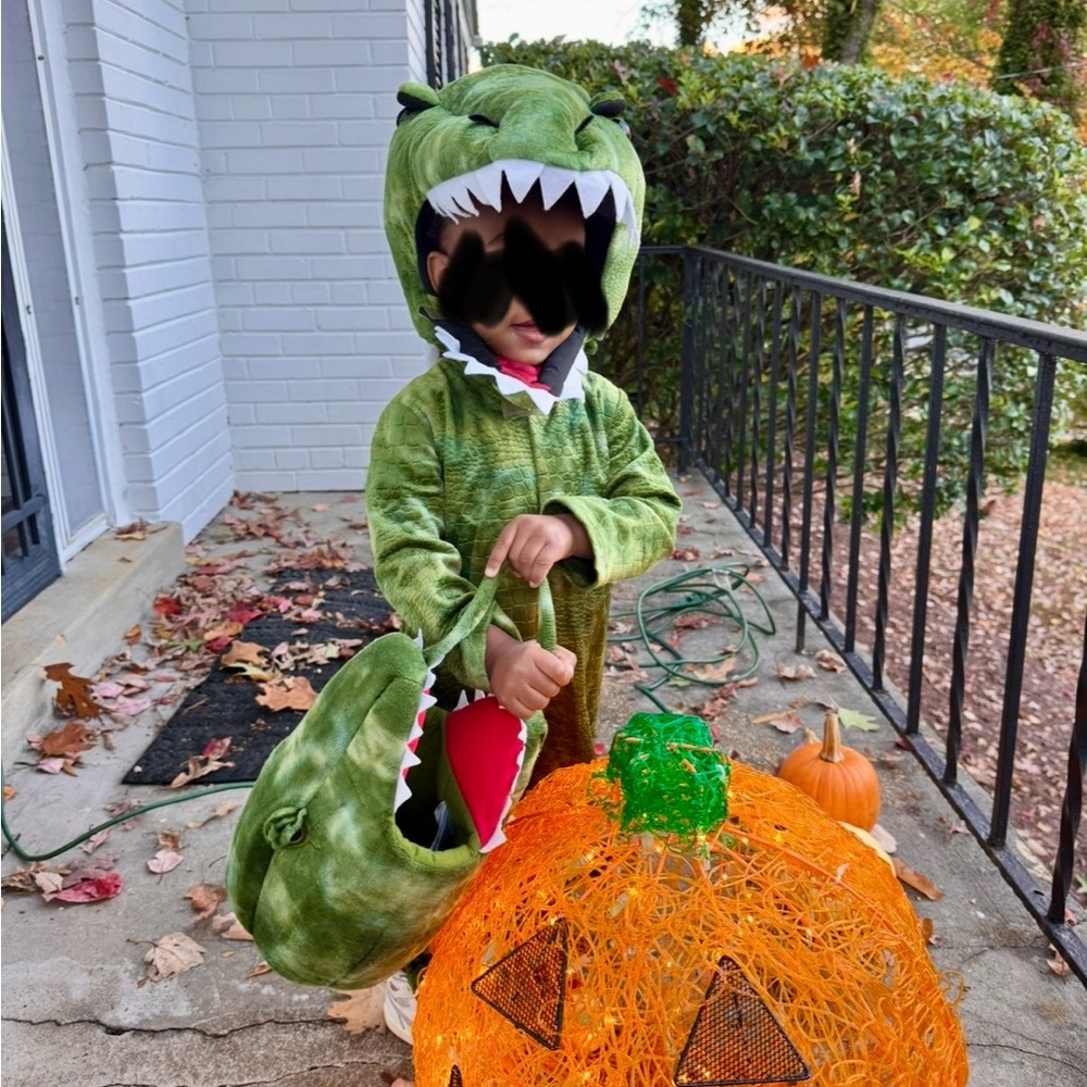 T-Rex Dinosaur costume by PotteryBarn Kids!